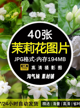 高清JPG茉莉花图片花开花朵花卉花瓣花蕊植物特写背景摄影ps素材