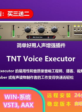 TNT Voice Executor 混音器 简单好用 人声增强 效果器 插件 WIN