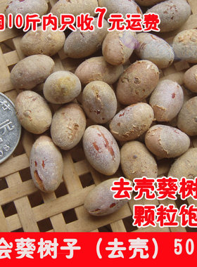 新会葵树子肉 已去壳 葵子 葵树籽　野生蒲葵子   500g  两斤包邮