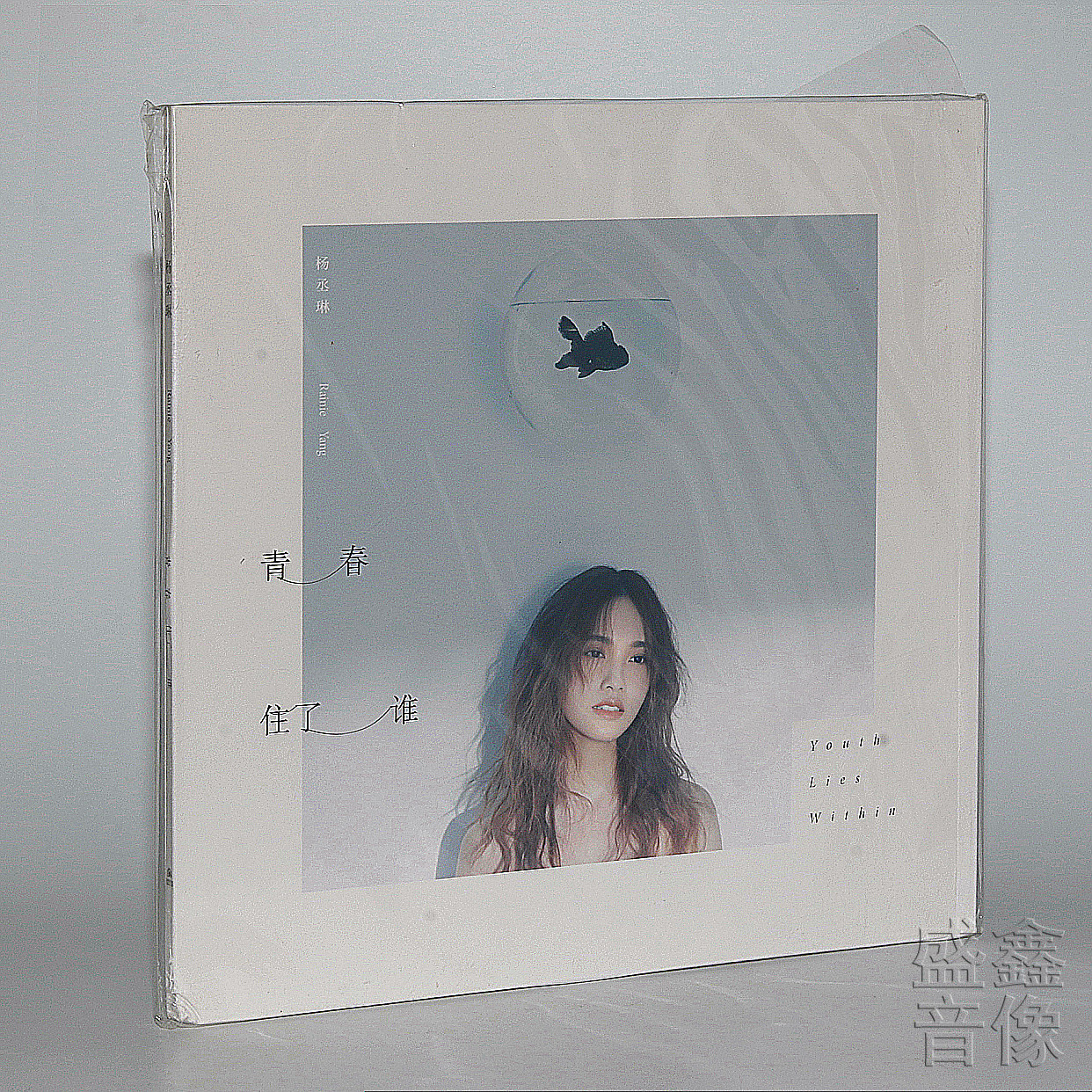 正版 杨丞琳 青春住了谁 单曲专辑CD+贴纸+大幅折叠海报+2018月历