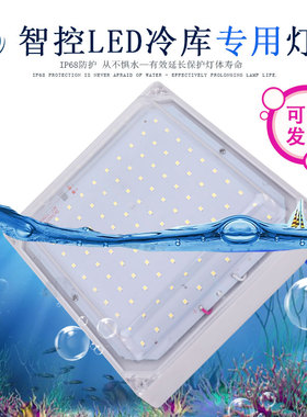 智控LED冷库专用灯20/30W/24V/36V防水防潮防爆低温浴室卫生间灯
