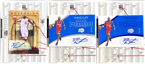 [IR] Звездная карта NBA Panini Darius Miles Darius Miles Jersey