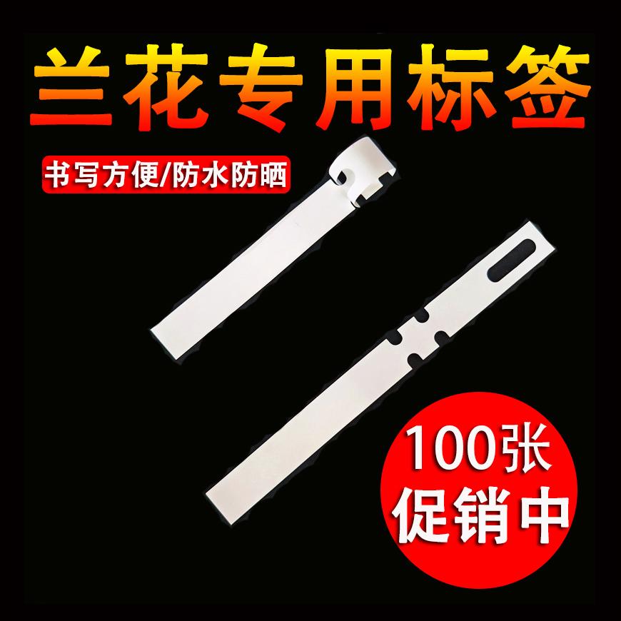 兰花专用防水防晒标签牌