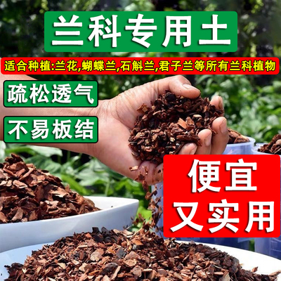 兰花石斛专用土松鳞兰花土营养土