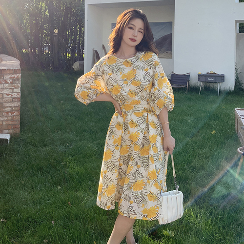 浙宝202 ZB202202-K08 浙宝202 ZB202202-K08