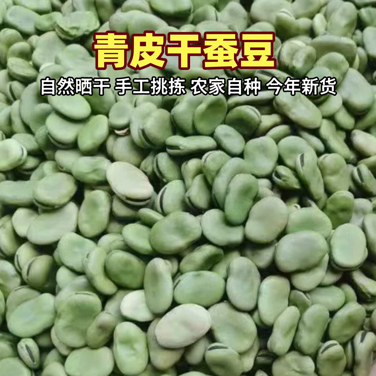 2026绿皮干蚕豆农家新货青皮蚕豆生蚕豆干胡豆籽可发芽油炸罗汉豆