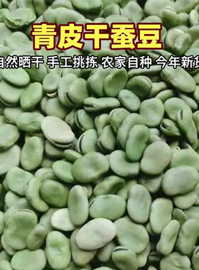 今年新蚕豆青皮生蚕豆干货
