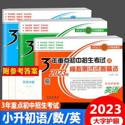 3年重点初中招生考试模拟试卷