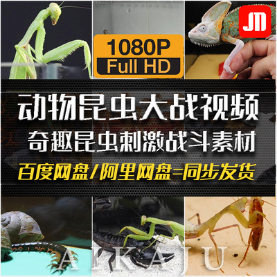 奇趣动物昆虫大作战 刺激视频自媒体思维书单号吸粉解说配音素材