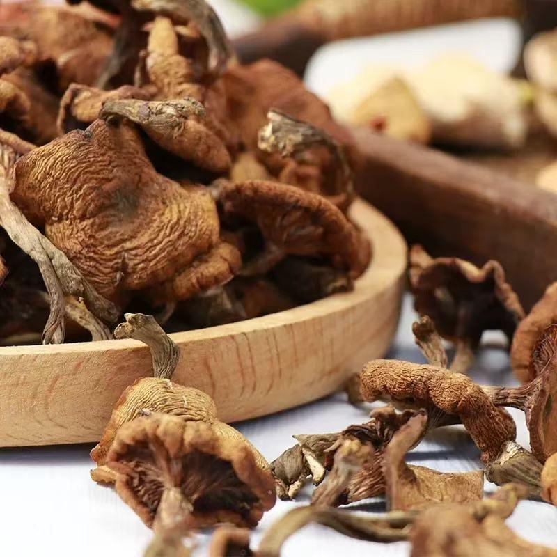 长白山野生榛蘑丁干货