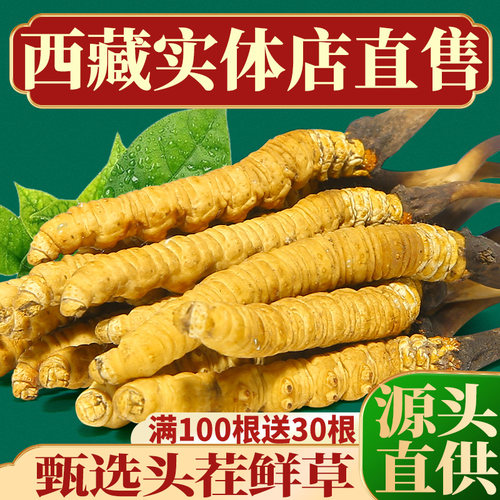 西藏实体店藏族自营一手货源