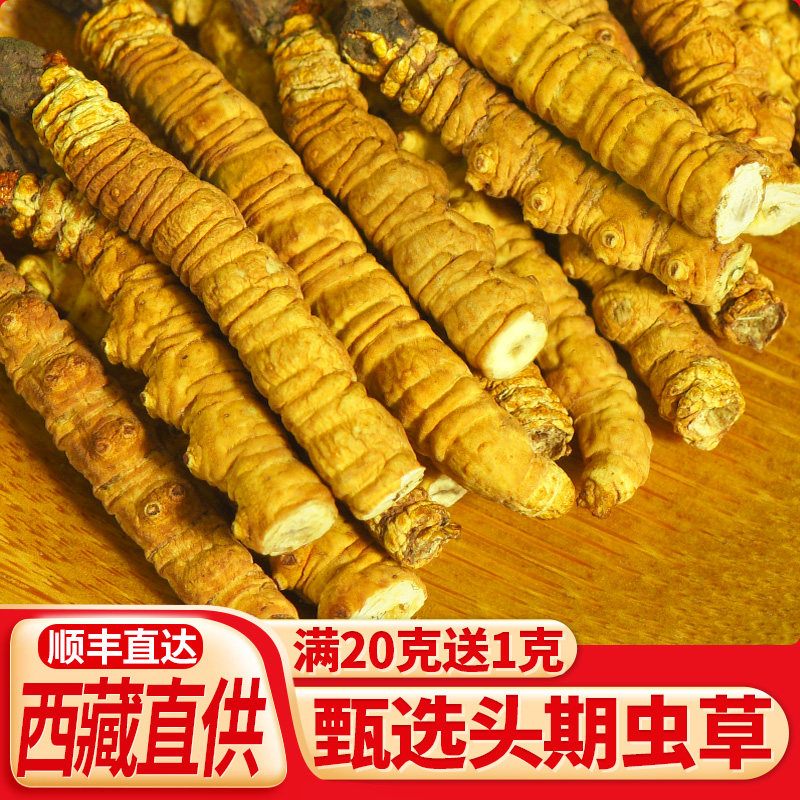 【自用划算】10克大断草正宗西藏那曲虫草正品冬虫夏草旗舰店干货
