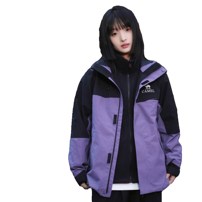 【追风者】Camel骆驼三