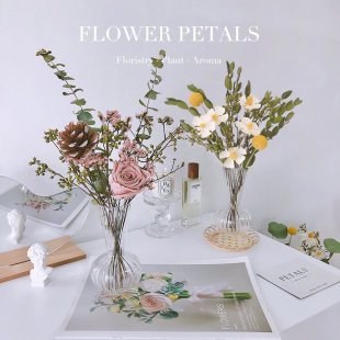 ins尤加利干花花束真花风干天然客厅摆设家居摆设插花北欧风摆件