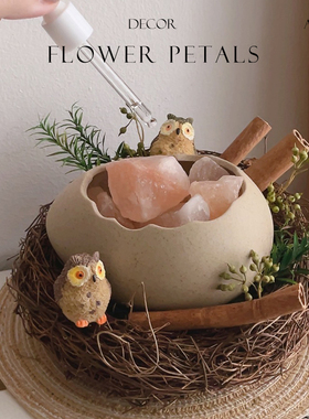 原创鸟巢扩香晶石香薰礼盒室内香氛新婚生日礼物圣诞节送男生女生