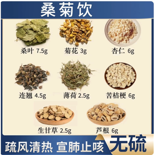 桑菊饮 菊花 杏仁苦 桔梗 芦根 薄荷 甘草 连翘中药材组合泡水喝