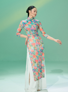 SOSO佳新中式中国舞古典舞改良长旗袍舞蹈服弹力柔软透气网纱印花