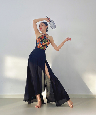 古典舞古风练功服原创