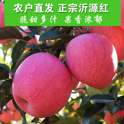 山东沂源红富士中庄苹果全红当季现摘新鲜水果整箱大果甜脆多汁