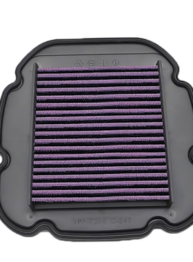 适用于 DL650 V-Strom 04-22 DL1000 02-10 空滤 空气滤芯 空气格