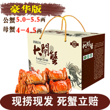 5两公蟹 4两母蟹 超大母蟹 洪湖大闸蟹清水螃蟹特大鲜活现货礼盒