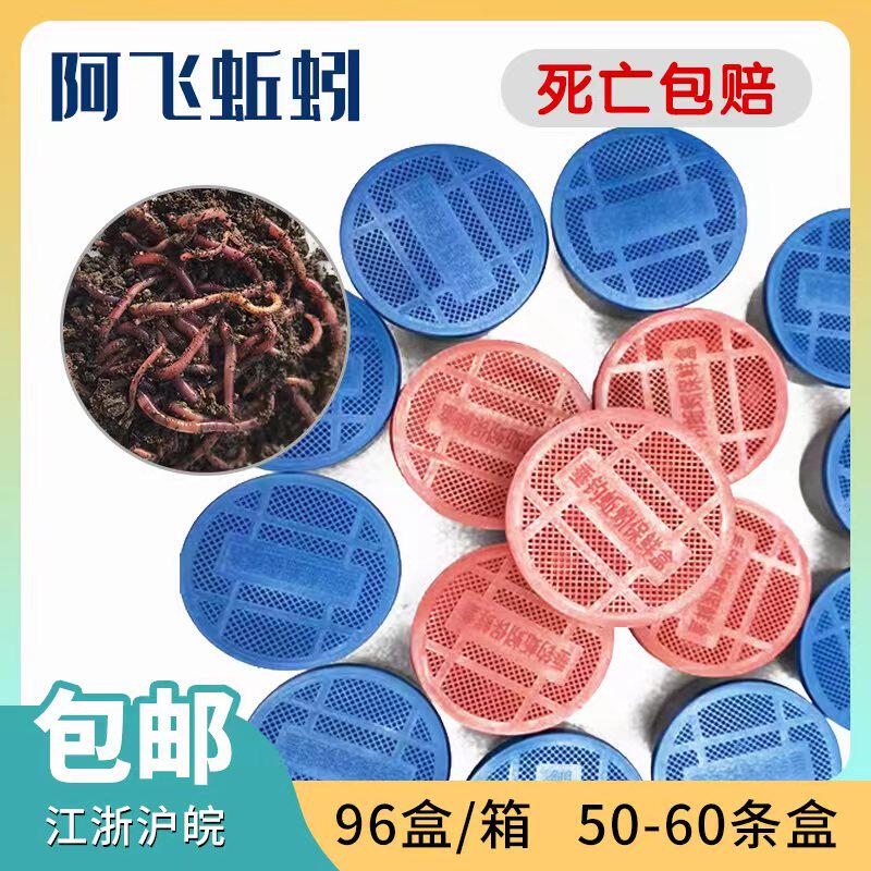 长期供应 阿飞蚯蚓 红蚯蚓  盒装蚯蚓 渔具店蚯蚓  江浙沪皖包邮