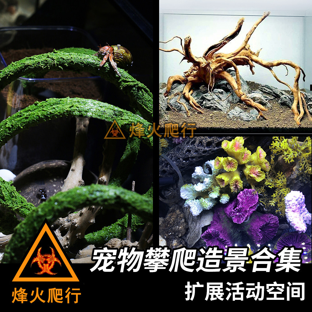 宠物攀爬造景合集 杜鹃根沉木香槟树皮藤条 陆寄居蟹拓展立体空间