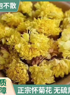 焦作原产怀菊花中药材自然晾晒