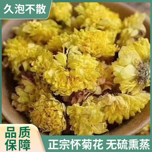 菊花茶散装正宗焦作怀菊花中药材去清热养生茶泡水干菊花