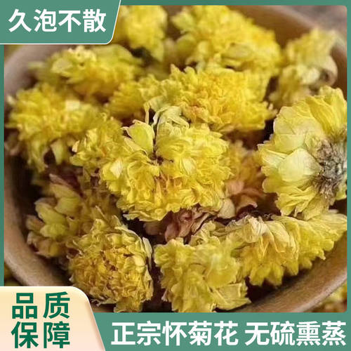 焦作原产怀菊花中药材自然晾晒