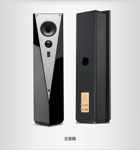 惠威T900HiViT900F主音响家庭影院2.0声道落地式主音箱HIFI高保真