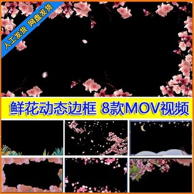pr/ae视频素材娱乐桃花星星相框动态可爱学生边框动画mov透明通道