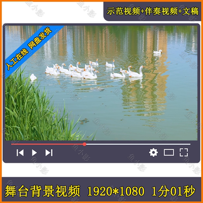咏鹅骆宾王 鹅鹅朗诵晚会古诗词咏鹅儿歌儿童舞蹈节目LED视频素材