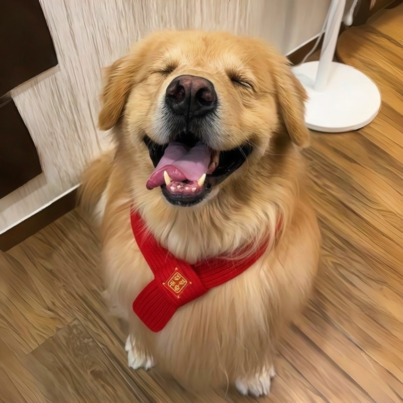 宠物围脖圣诞新年喜庆红色针织围巾大型犬节日配饰金毛项圈口水巾,宠物/宠物食品及用品,围巾/口水巾,淘宝优惠券,粉丝福利购,淘宝优惠卷