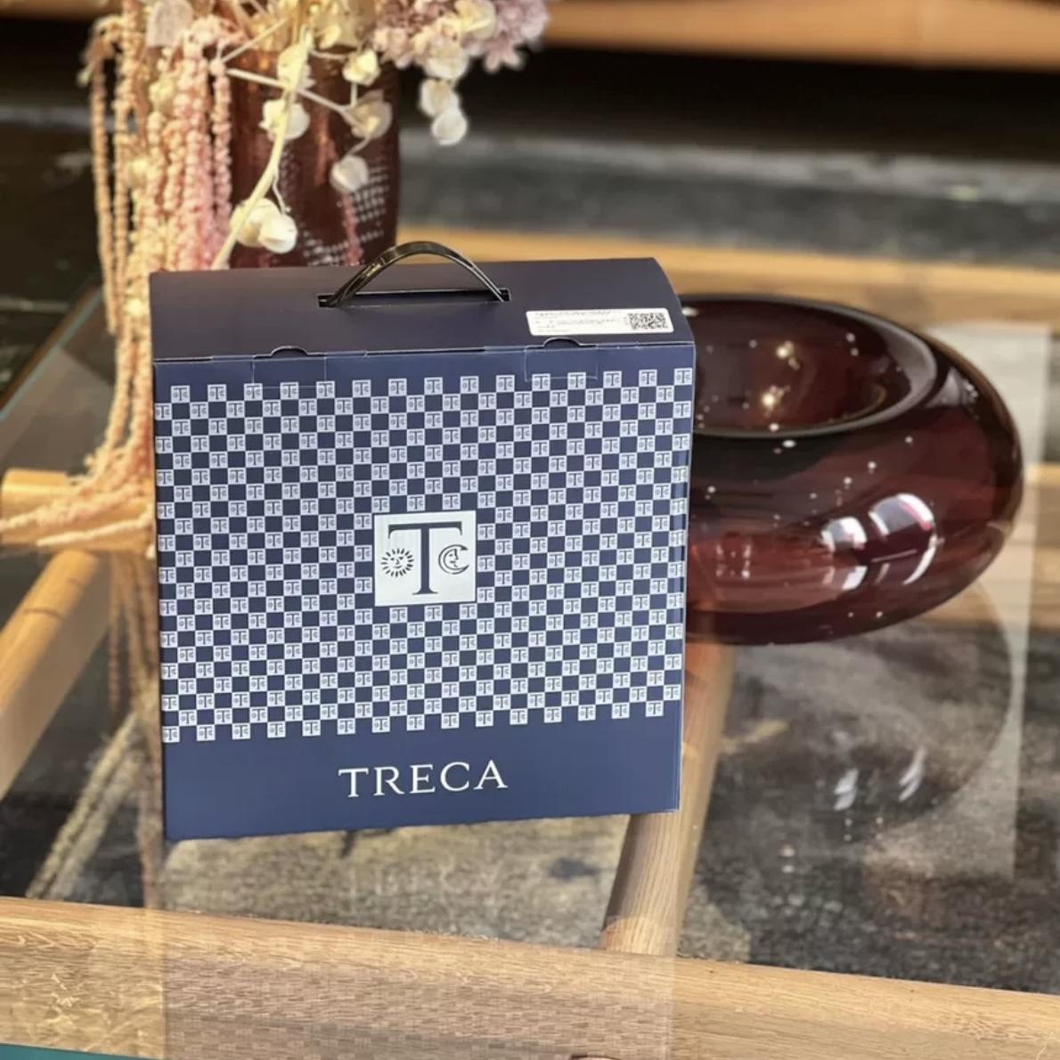 崔佧U形枕，全新帶禮盒，法國TRECA，專賣店零售298元