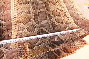 二胡蟒皮 金花蟒皮 二胡蒙皮三弦蒙皮三弦蟒皮 高胡花鼓大筒蒙皮