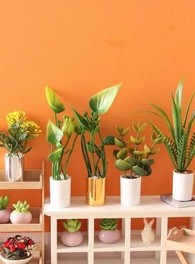 微缩仿真绿植盆栽迷你模型1:12分娃娃屋ob11 bjd过家家场景小摆件
