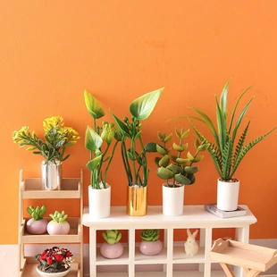 微缩仿真绿植盆栽迷你模型1:12分娃娃屋ob11 bjd过家家场景小摆件