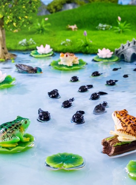 小蝌蚪找妈妈微景观小摆件仿真青蛙荷花荷叶青蛙成长进化认知田园