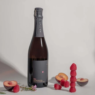 立陶宛ACALA起泡茶气泡茶无酒精飲料 现货