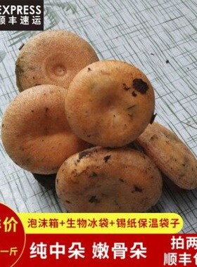 新鲜枞菌寒菌野生菌乌枞菌蘑菇雁鹅菌500g重阳菌黄菌乌枞菌随机发