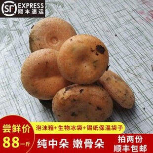 新鲜枞菌寒菌野生菌乌枞菌蘑菇雁鹅菌500g重阳菌黄菌乌枞菌随机发