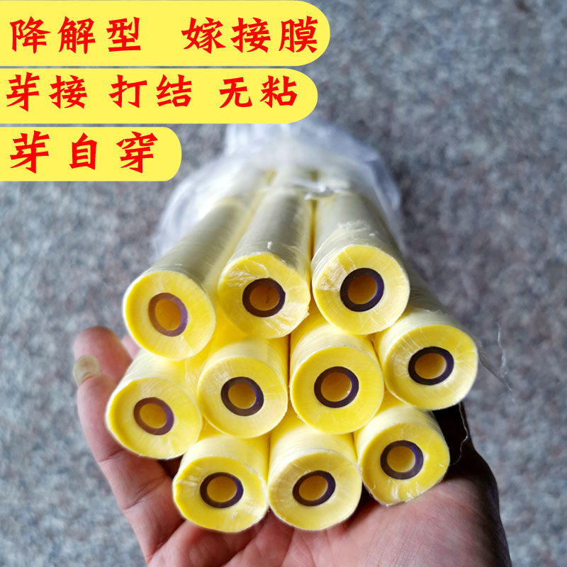 可降解嫁接膜果树嫁接专用薄膜黄色芽接打结可自穿无需解膜没粘性