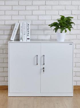 上海加厚铁皮文件档案柜办公资料财务凭证柜开门储物桌边柜带锁