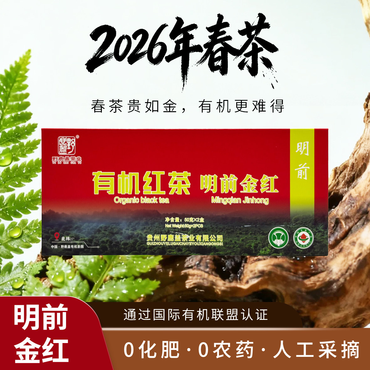 贵州凤冈锌硒茶明前雀舌有机红茶特价绿茶高山云雾茶叶100g礼盒装