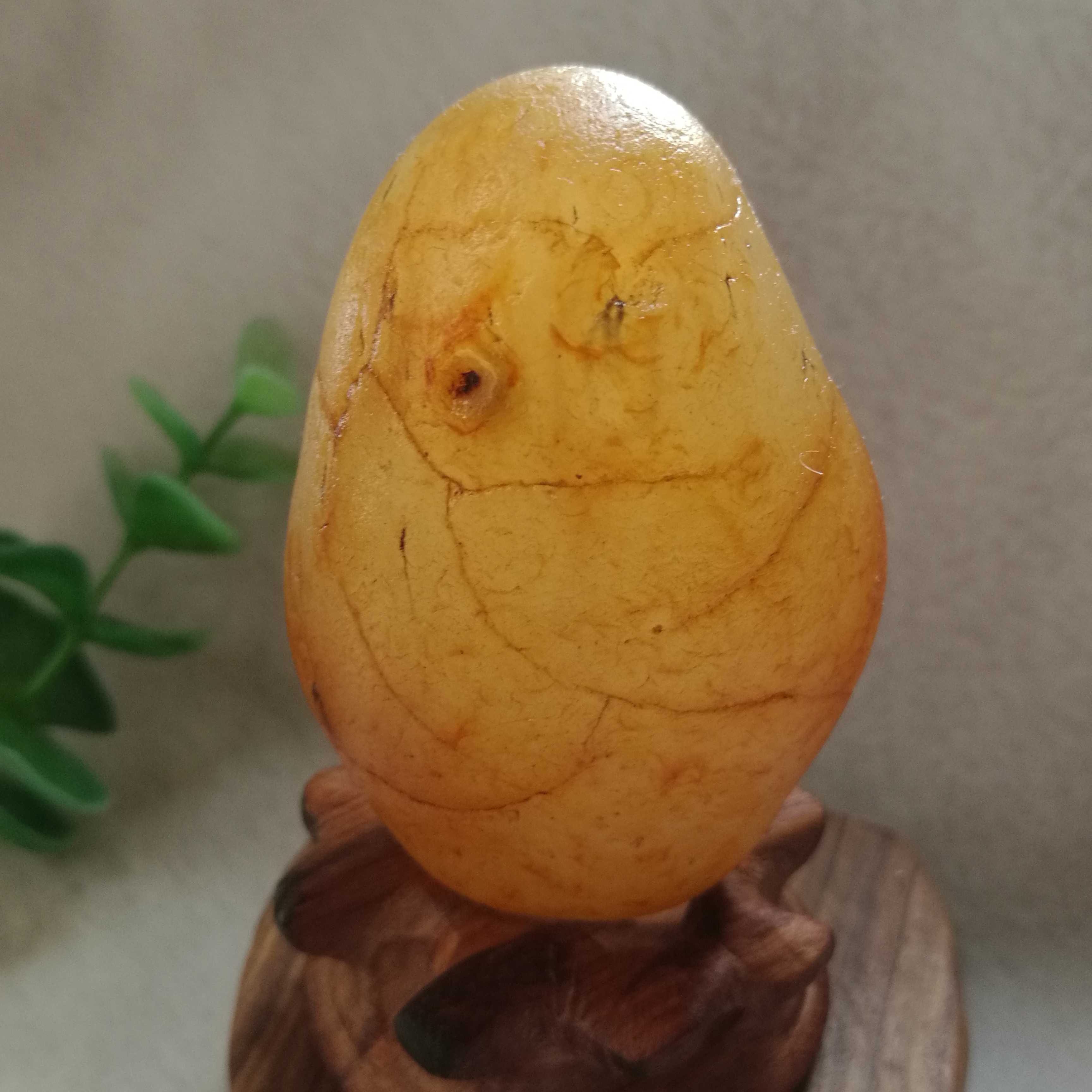 纯天然马岛花纹玛瑙原石摆件，金手指 精美把玩件 超低特价