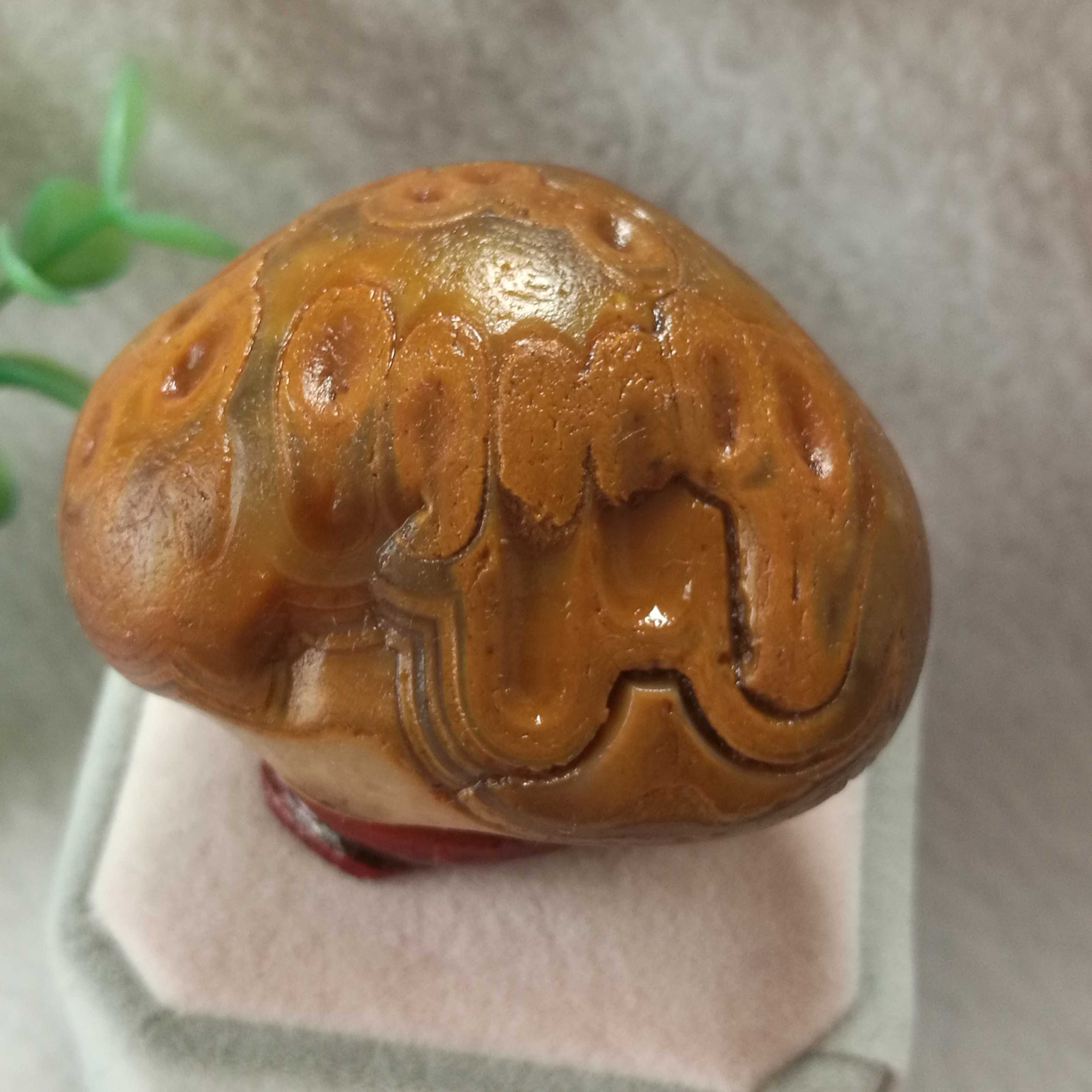 纯天然马岛玛瑙原石小摆件，蝶心。花纹奇特漂亮 把玩件 超低价