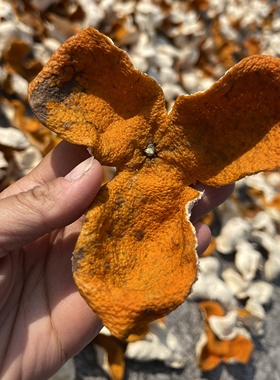 新会陈皮2021年梅江南坦狗腩冬后大红皮整皮性价比高甜醇纯生态