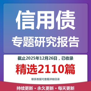 2025年信用债城投债地方政府债务债债市专题研究分析报告合集