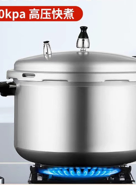 ASD/爱仕达高压锅商用加厚防爆燃气灶28cm压力锅NH7528大容量10L